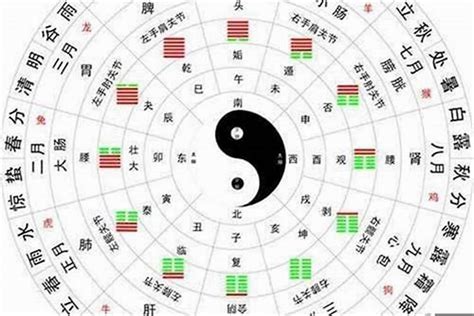 虎的五行|属虎在金木水火土五行里属什么